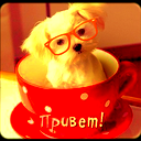 Арина Сергеева