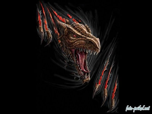 Максим Гусев