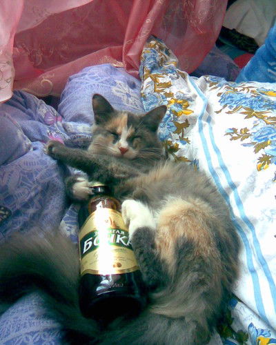 Ольга Александровна