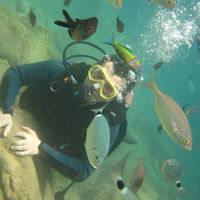 Дмитрий Донской