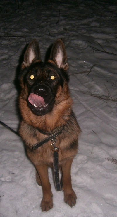 Саша Бердюгин