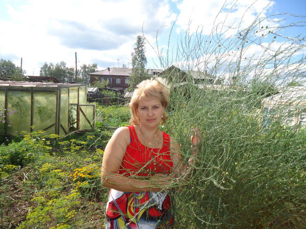 Елена Тарасова