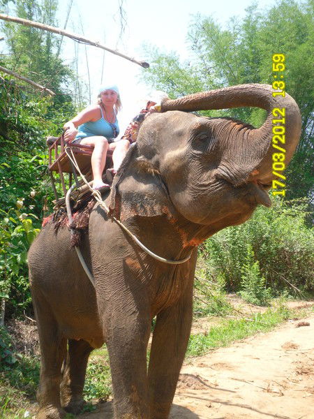 Елена Свиридова