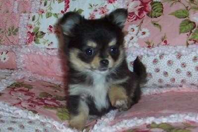 Танюфка Иванова