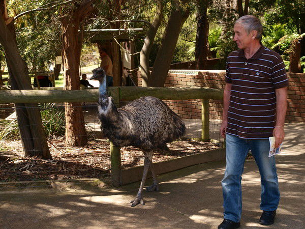 Рафаиль Ханбеков