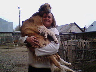 Леонид Лисневич