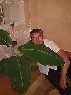 Миша Minatlla Багаутдинов