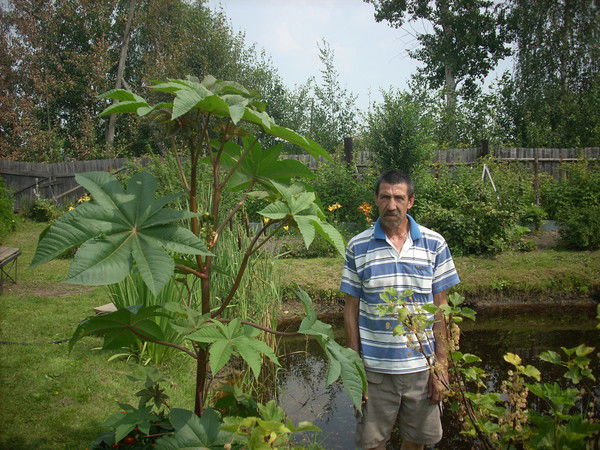 Сергей Неустроев