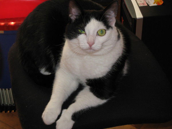 Ваня Лебедев