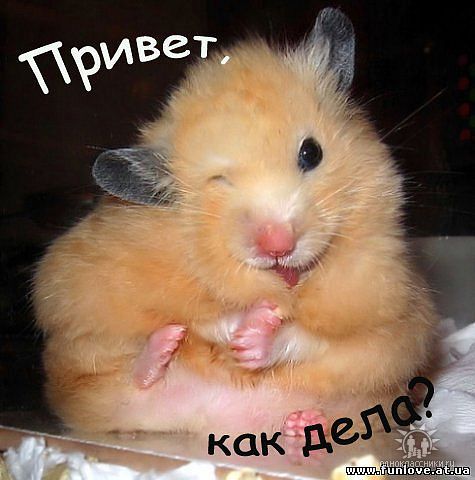 Александр Добрынин