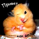 Александр Добрынин