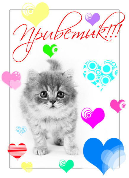 Наташа Азарина