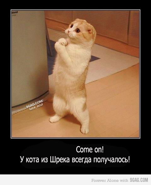 Диана Сулейманова