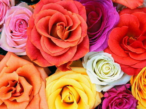 Елизавета Зубарева