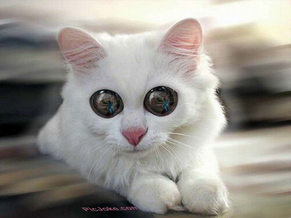 Надя Кузнецова