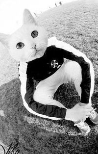 Артём Назаренко