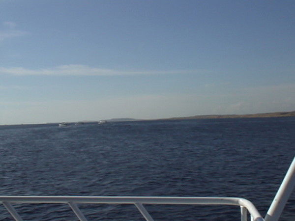 Алексей Бухмарёв