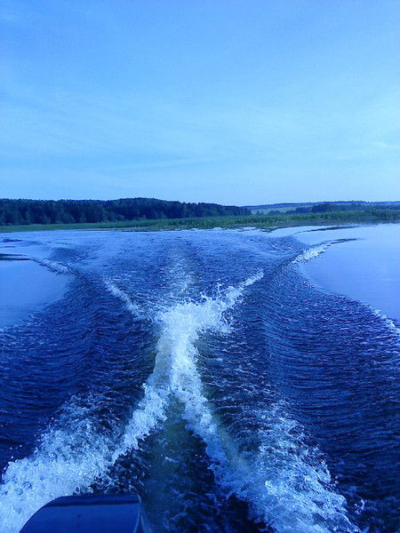 Елена Шлыкова