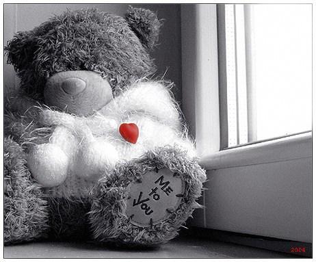 Дарья Грицевич