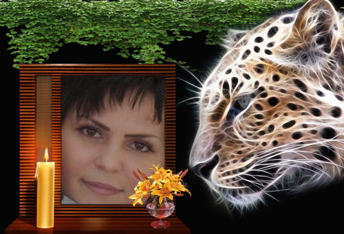 Алена Фадеева