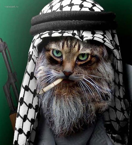 Руслан Сембаев