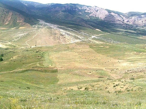 Алмаз Молдосанов