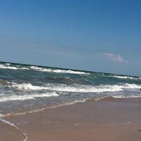 Ольга Соловьева