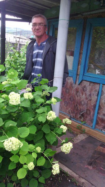 Володя Вениаминов