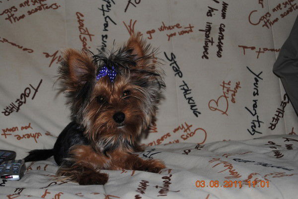 Наталья Маковеева