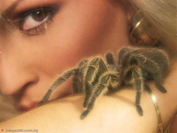 Ольга Осипова