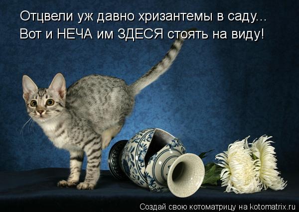 Игорь Литовченко