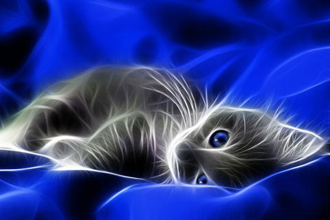 Наталья Малахова