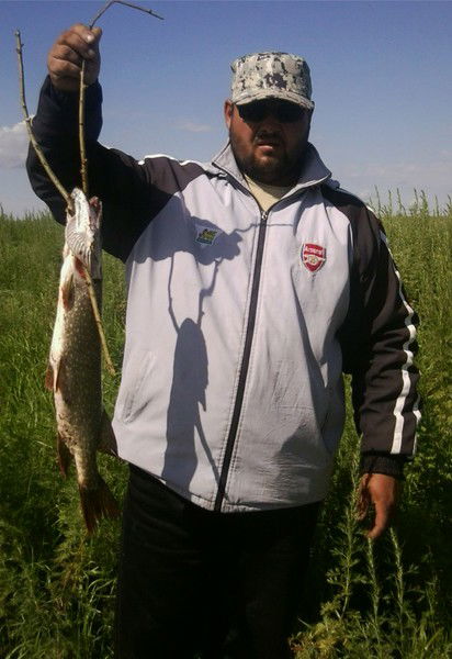 Алекс Тарасов