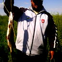 Алекс Тарасов
