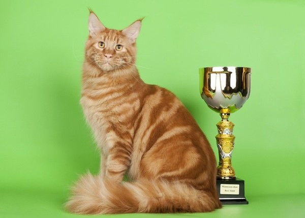 Надежда.. С..м..