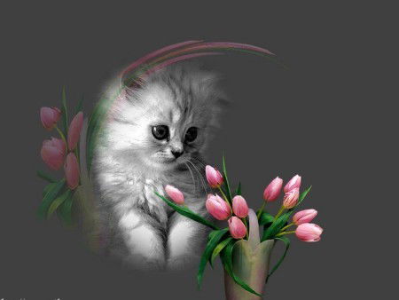 Эльвира Демченко