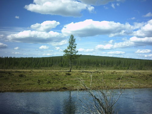 Николай Никандров