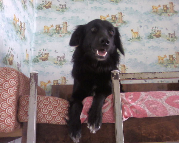 Борис Скляренко