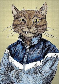 Данил Дрозд