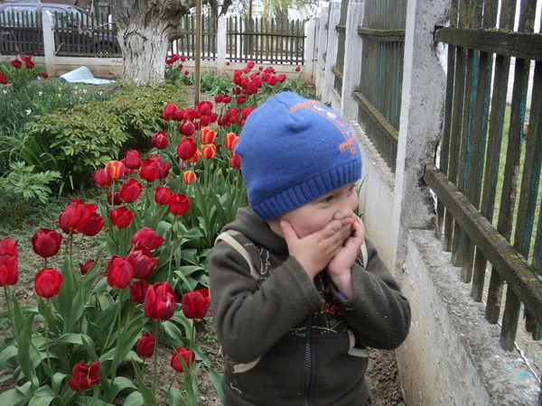 Андрей Ермолинский