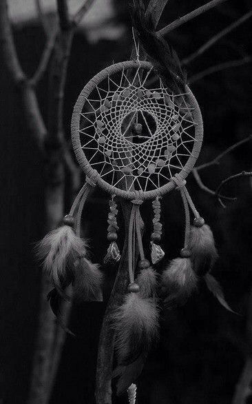 Елена Новикова