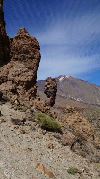 Елена Шашкова