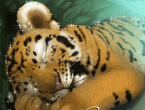 Юрий Трансер