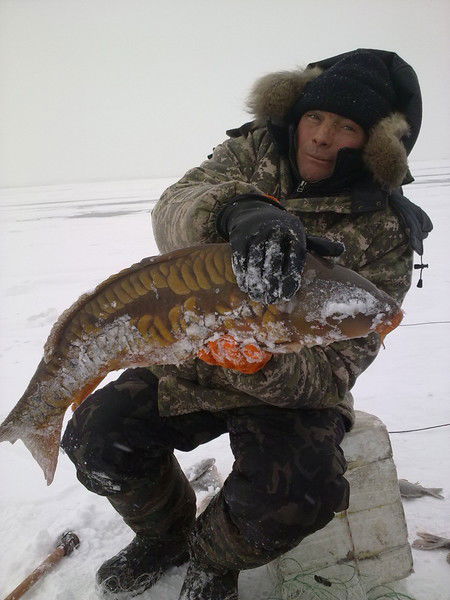 Сергей Коровинский