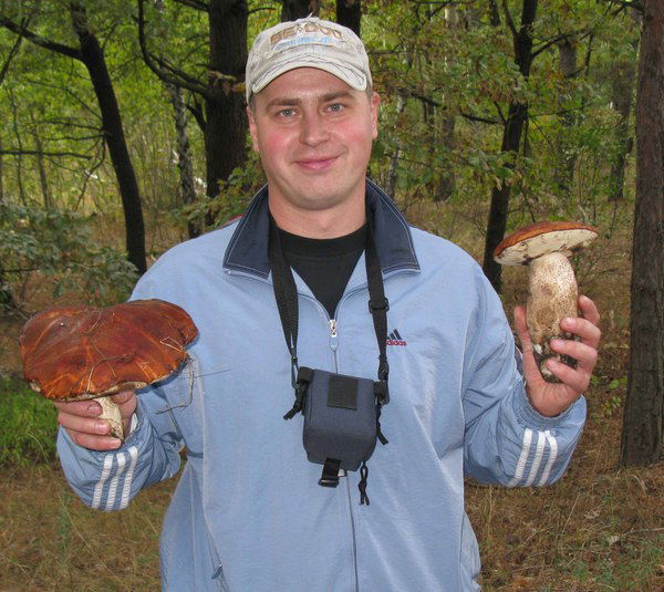 Алексей Чибишев