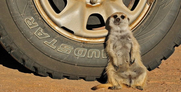 Виталий Суслин