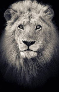 Евгений Турышев