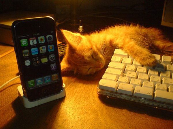 Ирина Мерная