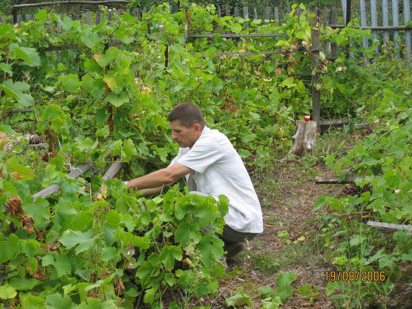 Валерий Овсянников