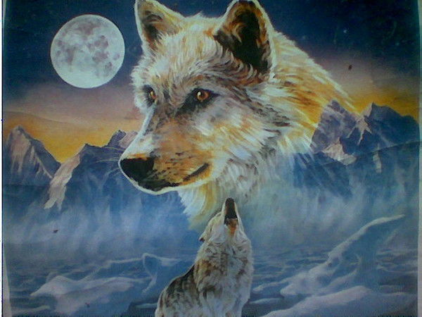 Одинокий Волк